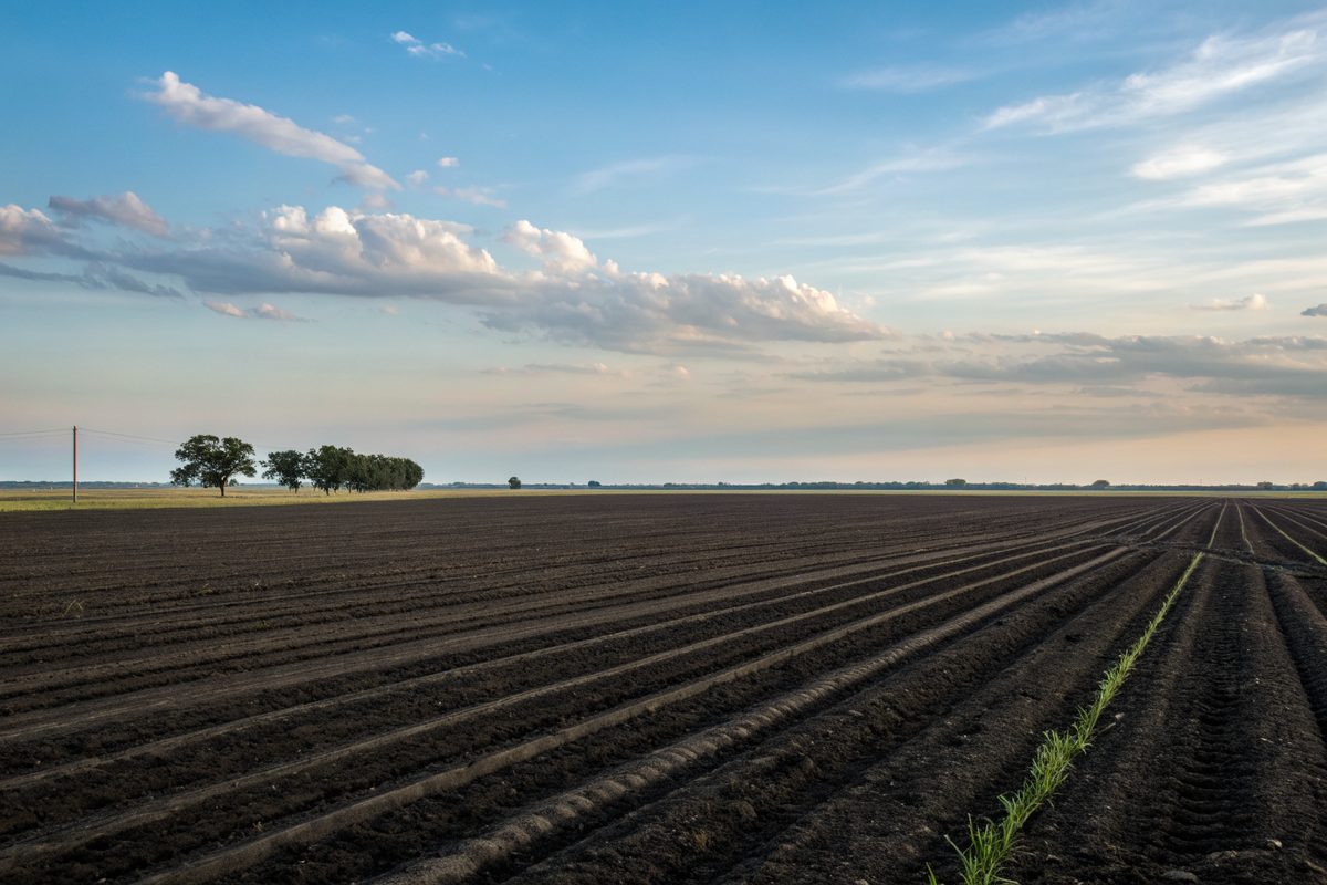 Flat prairie farmland with dark soil rows under a big sky
